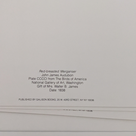 Audubon's Ducks Boxed Set Of Blank Note cards 5x7 Natl Gallery Of Art Set Of 14 - Picture 6 of 10